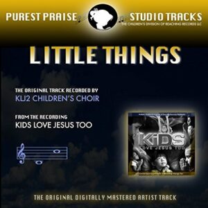 Little Things (MP3 Instrumental)